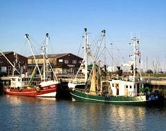 Ihr Urlaub im schnen Ostfriesland - in Utarp - Holtriem
