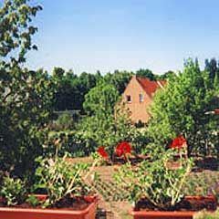 Pension Sandfeld - in Teterow - in der Mecklenburgischen Schweiz