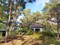 Wohlfühl-Unterkünfte auf der Insel Usedom