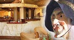 Darsser Fewo-Agentur - Ferienwohnungen im Ostseebad Prerow