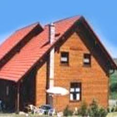 Modernes Holz-Ferienhaus mit Kamin und Carport - in Hasselfelde - Harz