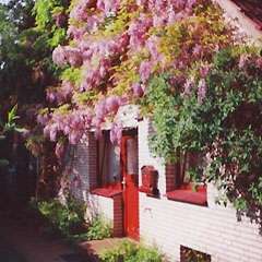 Natur und Meer erleben - in Wisch - willkommen an der Kieler Bucht - Ostsee