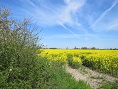 Ferienhaus Hartward - fr Ihren Urlaub an der Nordsee - Neuharlingersiel