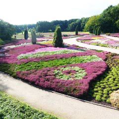 Hotel Heidetraum - willkommen in Schneverdingen - in der Lüneburger Heide