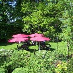 Gasthaus-Pension Im Rehwinkel - Ihr Urlaub in der Lüneburger Heide