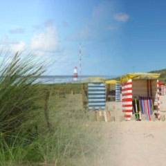 Ferienhaus in der Sdheide - in Dedelstorf - Lingwedel