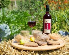 Ferienwohnungen am Baby- und Kinderbauernhof im Südburgenland