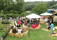 Ferienwohnungen am Baby- und Kinderbauernhof im Südburgenland