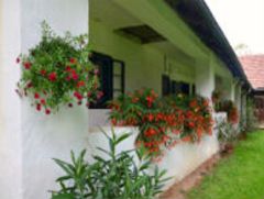 Haus Eveline - willkommen in Gerersdorf - im schnen Sdburgenland