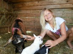 Familienbauernhof Strassbauer in Steinakirchen am Forst - Mostviertel