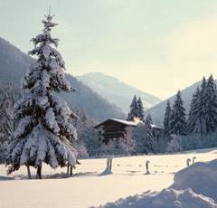 Gasthaus Steinberg - in Westendorf - Kitzbhler Alpen