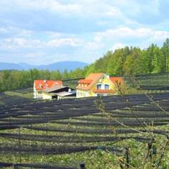 Ferienwohnungen de luxe - erholsamer Urlaub am Apfel-Bauernhof Kober