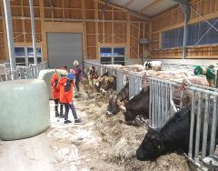 Erholsamer Familienurlaub am Bauernhof - in Zell am Ziller im wunderschnen Zillertal