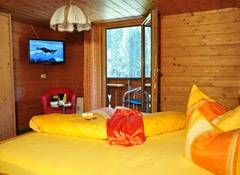 Ferienwohnung - Apartment Winkler - in Silbertal - Vorarlberg