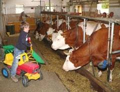 Bauernhof-Urlaub im Bayerischen Wald - in Michelsneukirchen