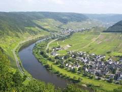 Ferienwohnungen Weingut Andre - in Ernst bei Cochem - Mosel