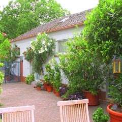 Ferienhaus Holler - mitten im Paradies - willkommen in Deidesheim, Pfalz