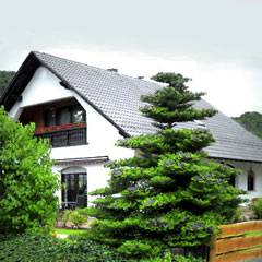 Komfort-Ferienwohnung - in Freisen-Grgelborn - nhe Bostalsee