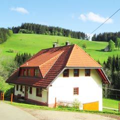 Ferien auf dem Dischenhof - in St. Peter - im Schwarzwald