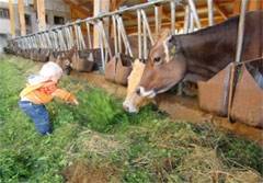 Bioland-Ferienhof Lerpscher - in Missen - im herrlichen Allgäu