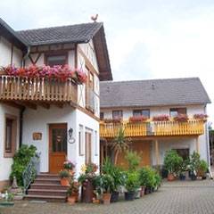 Ferien auf dem Meyerhof - Gstehaus Brunhilde - Schwanau-Wittenweier