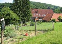 Ferienwohnungen auf dem Bauernhof - in Kalletal - im Lipperland