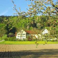 Ferienwohnungen auf dem Unterfrickhof Billafingen - in Owingen