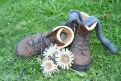 Hotel Gasthaus Hirschen Todtnau Brandenberg - im Hochschwarzwald