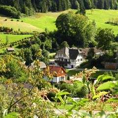 Gruppenunterkunft + Selbstversorgerhaus für 10-52 Personen - Schwarzwald