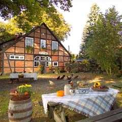 Erholsame Ferien im Landhaus Rderloh - in Rderloh - Sdheide