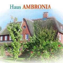 Ferienwohnung mit Meerblick - wohnen unter Reet - auf der Insel Amrum