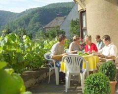 Pension Winzerhaus Haas-Lenz - schne Ferien in Zell-Mosel