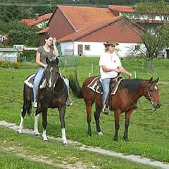 Ferienwohnung mit Reitmglichkeit, Pool und Sauna - Bayerischer Wald