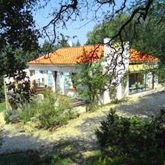 Ferienhaus Uzes - Villa des Roses - La Capelle et Masmolene