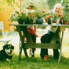 Bauernhof-Urlaub auf einem Demeterhof an der Ostsee - in Cismar