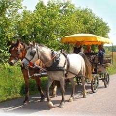 Gstezimmer auf dem Ferien- und Reiterhof - in Le Val de Ajol - Vogesen