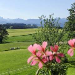 Bed & Breakfast - in Buchenberg - auf der Sonnenterrasse des Allgus