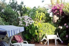 Insel Ischia - Ferienwohnung 