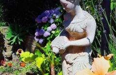 Insel Ischia - Ferienwohnung 