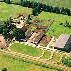 Bockholts-Hoff - in Schneverdingen - OT Lünzen, in der Lüneburger Heide