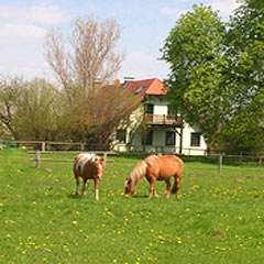 Reiterferien in Brandenburg - in Liebenwalde - Ortsteil Neuholland