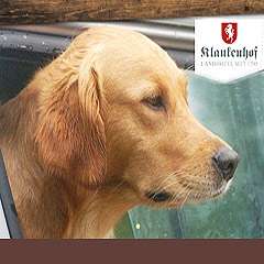 Landhotel Klaukenhof - willkommen inn Lennestadt - im Sauerland