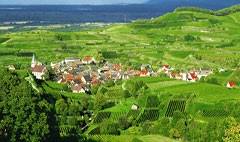 Ferienwohnung Bauer - willkommen in Endingen-Kiechlinsbergen