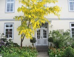 Ferienwohnungen in Zentrum von Bad Schwartau