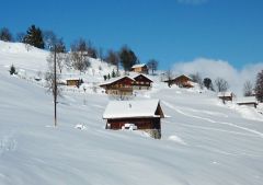 Ferienhaus - Maiensss in den herrlichen Walliser Alpen - Schweiz