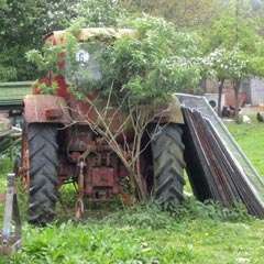 Das Portal Urlaub in Deutschland & Europa wnscht Euch einen schnen Tag