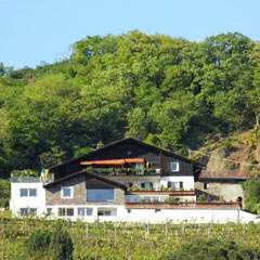 Appartements und Weingut Linter - willkommen in Dorf Tirol, Meraner Land