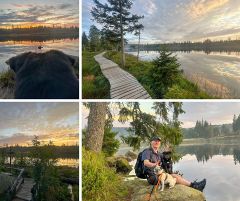 Ferienwohnung Am Wolfstein - willkommen in Bad Harzburg im Harz