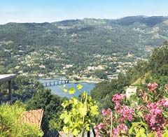 Landhaus in Vieira do Minho - Peneda Gerês - Nordportugal