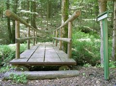 Ferienhaus Gste-Komfort - 12 Personen - im UNESCO-Biosphrenreservat Vessertal